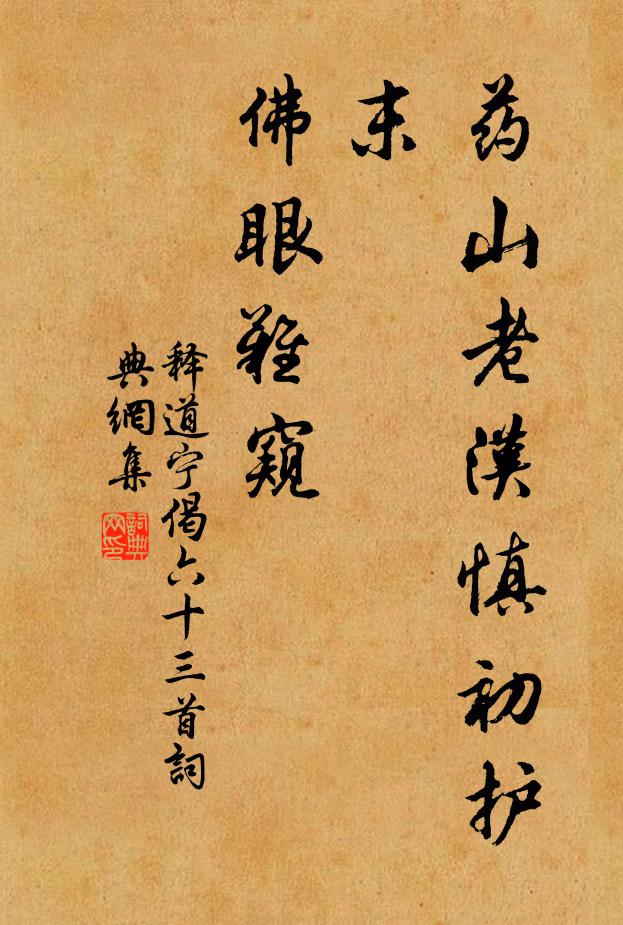 释道宁药山老汉慎初护末，佛眼难窥书法作品欣赏