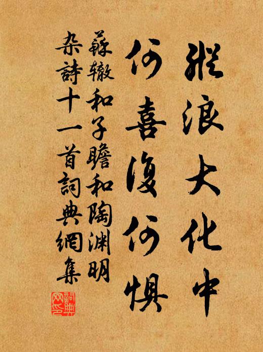 苏辙纵浪大化中，何喜复何惧书法作品欣赏