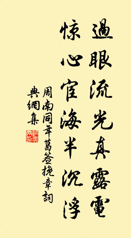 周南过眼流光真露电，惊心宦海半沉浮书法作品欣赏
