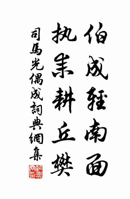 司马光伯成轻南面，执耒耕丘樊书法作品欣赏
