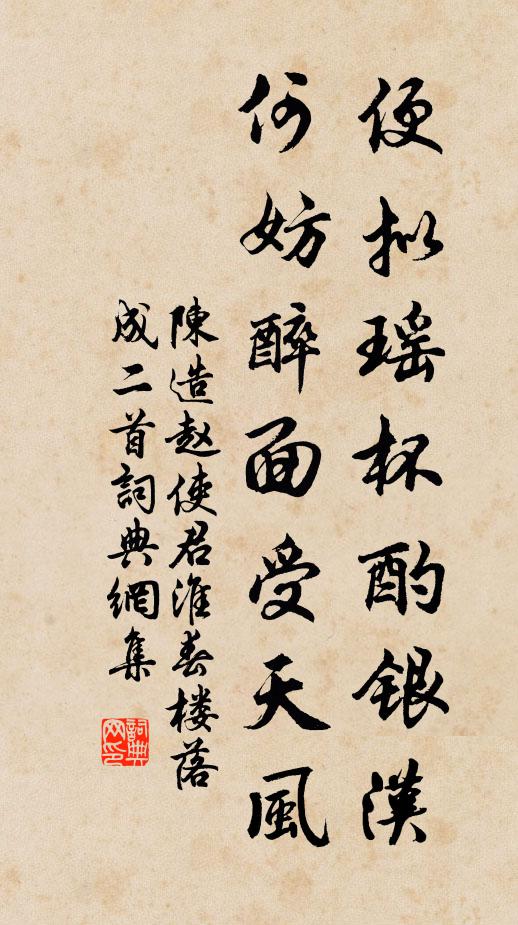 陈造便拟瑶杯酌银汉，何妨醉面受天风书法作品欣赏