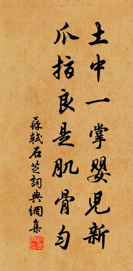 苏轼土中一掌婴儿新，爪指良是肌骨匀书法作品欣赏