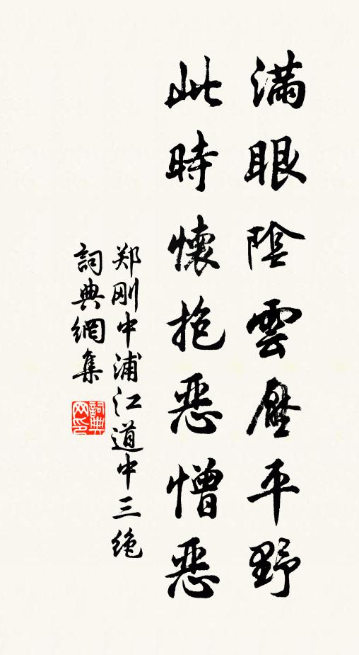 郑刚中满眼阴云压平野，此时怀抱恶憎恶书法作品欣赏