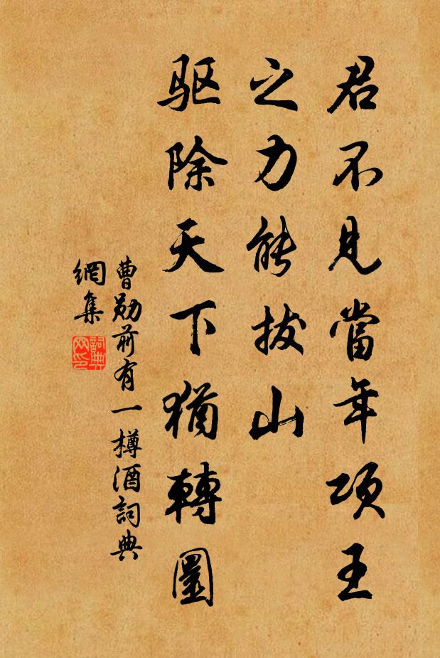 曹勋君不见当年项王之力能拔山，驱除天下犹转圜书法作品欣赏