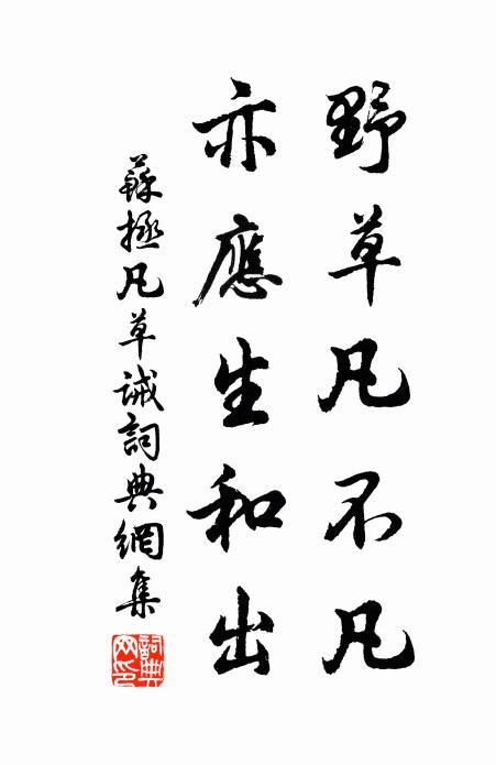 苏拯野草凡不凡，亦应生和出书法作品欣赏