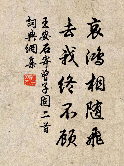 王安石哀鸿相随飞，去我终不顾书法作品欣赏