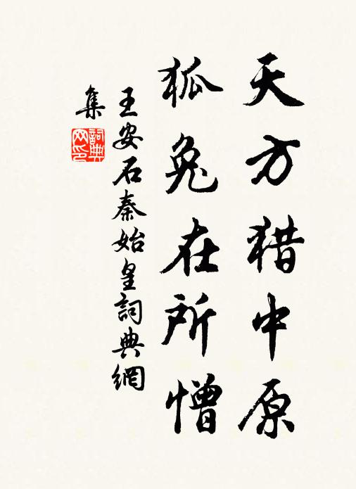 王安石天方猎中原，狐兔在所憎书法作品欣赏