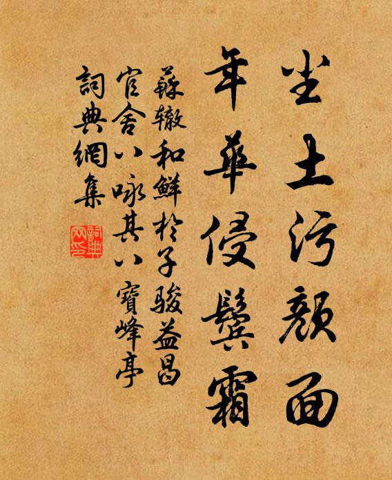 苏辙尘土污颜面，年华侵鬓霜书法作品欣赏