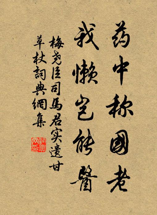 梅尧臣药中称国老，我懒岂能医书法作品欣赏