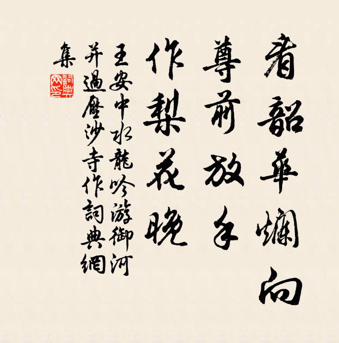 王安中看韶华烂向，尊前放手，作梨花晚书法作品欣赏