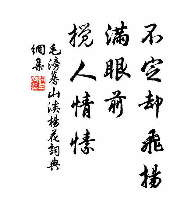 毛滂不定却飞扬，满眼前、搅人情愫书法作品欣赏