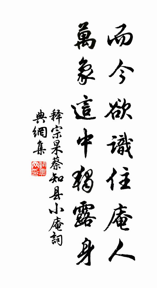 释宗杲而今欲识住庵人，万象这中独露身书法作品欣赏