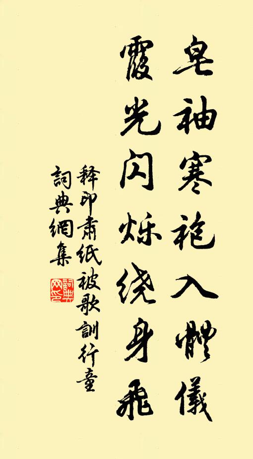 释印肃皂袖寒袍入体仪，霞光闪烁绕身飞书法作品欣赏