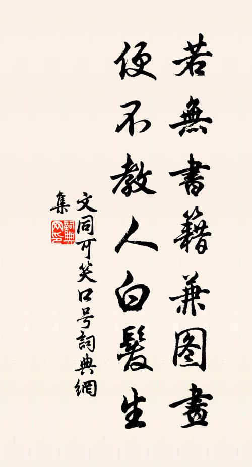 文同若无书籍兼图画，便不教人白发生书法作品欣赏