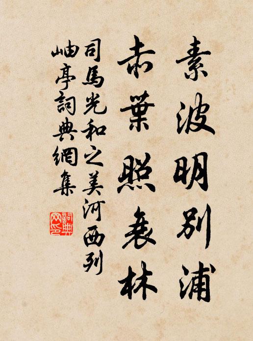 司马光素波明别浦，赤叶照衰林书法作品欣赏