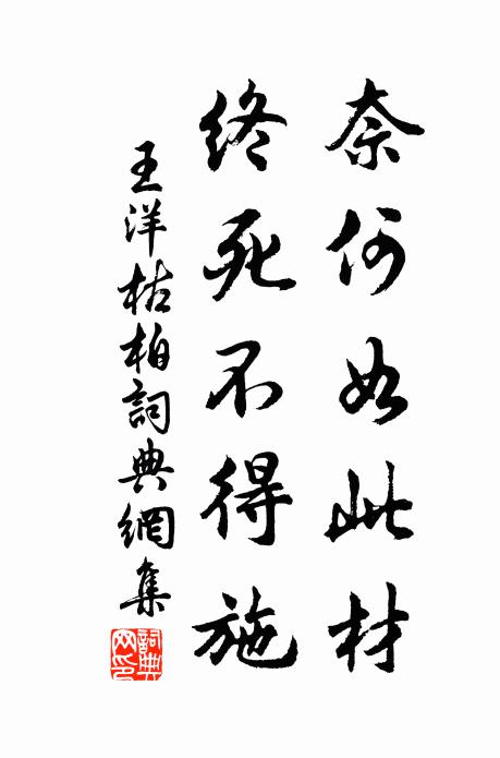 王洋奈何如此材，终死不得施书法作品欣赏