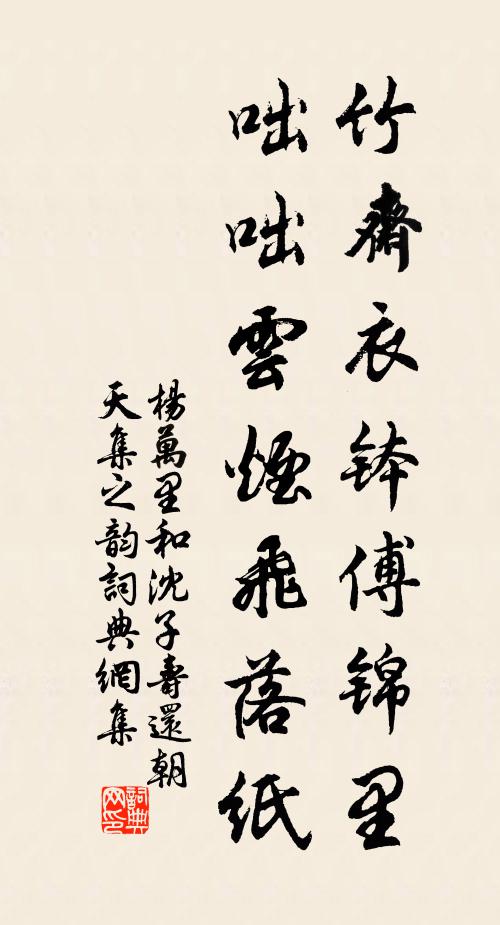 杨万里竹斋衣钵傅锦里，咄咄云烟飞落纸书法作品欣赏