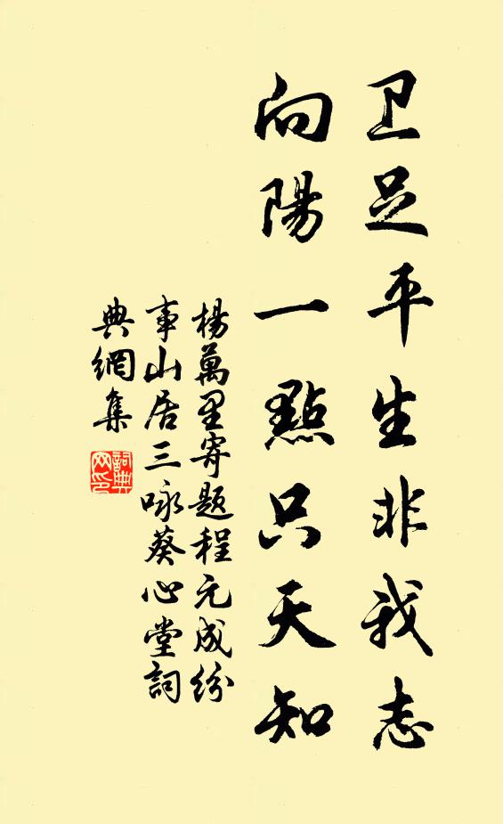 杨万里卫足平生非我志，向阳一点只天知书法作品欣赏