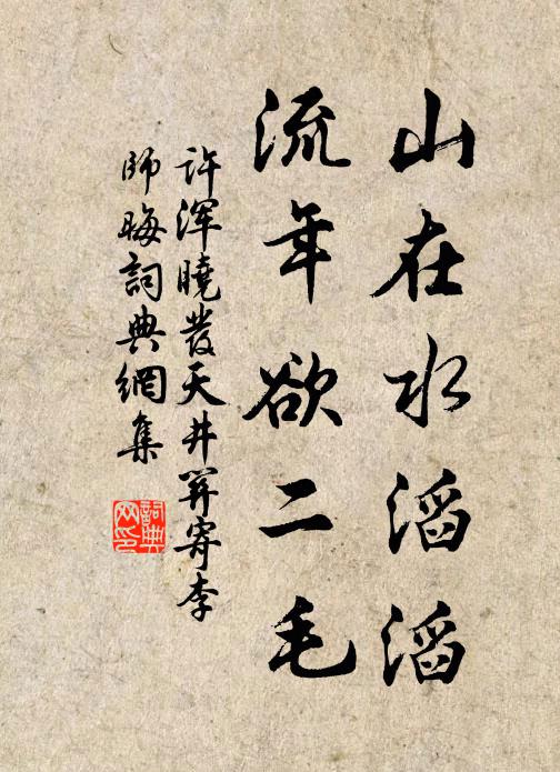 许浑山在水滔滔，流年欲二毛书法作品欣赏