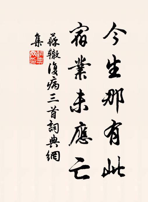 苏辙今生那有此，宿业未应亡书法作品欣赏