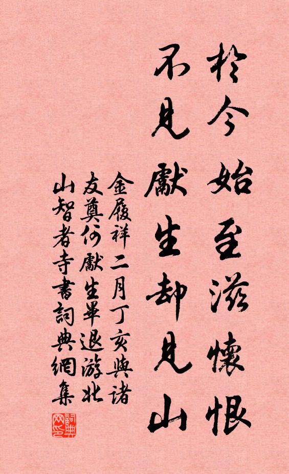 金履祥于今始至滋怀恨，不见先生却见山书法作品欣赏