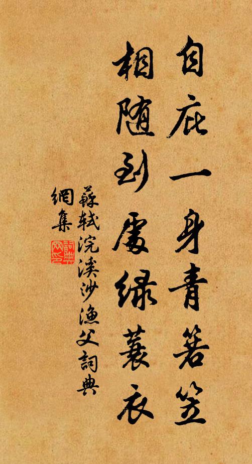 苏轼自庇一身青箬笠，相随到处绿蓑衣书法作品欣赏