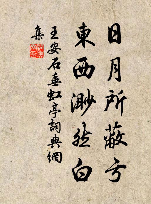 王安石日月所蔽亏，东西渺然白书法作品欣赏