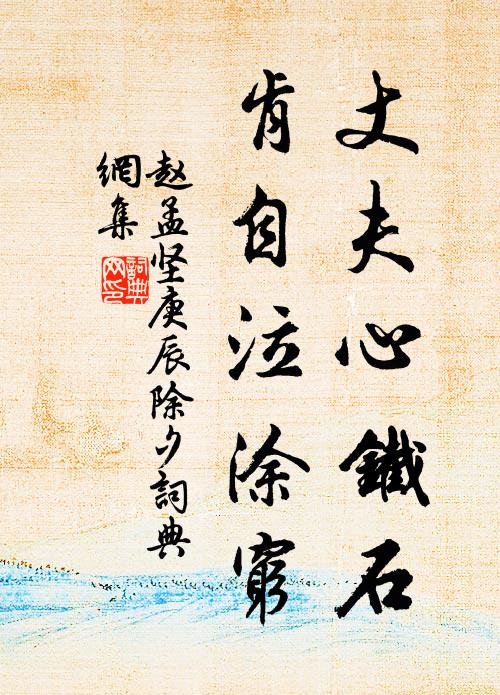 赵孟坚丈夫心铁石，肯自泣涂穷书法作品欣赏