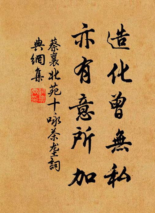 蔡襄造化曾无私，亦有意所加书法作品欣赏