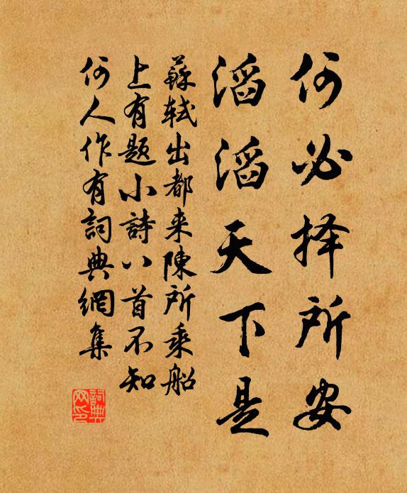 苏轼何必择所安，滔滔天下是书法作品欣赏