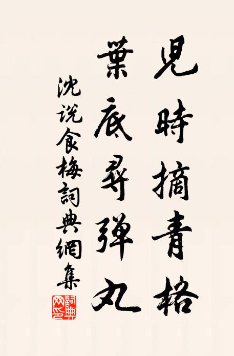 沈说儿时摘青格，叶底寻弹丸书法作品欣赏