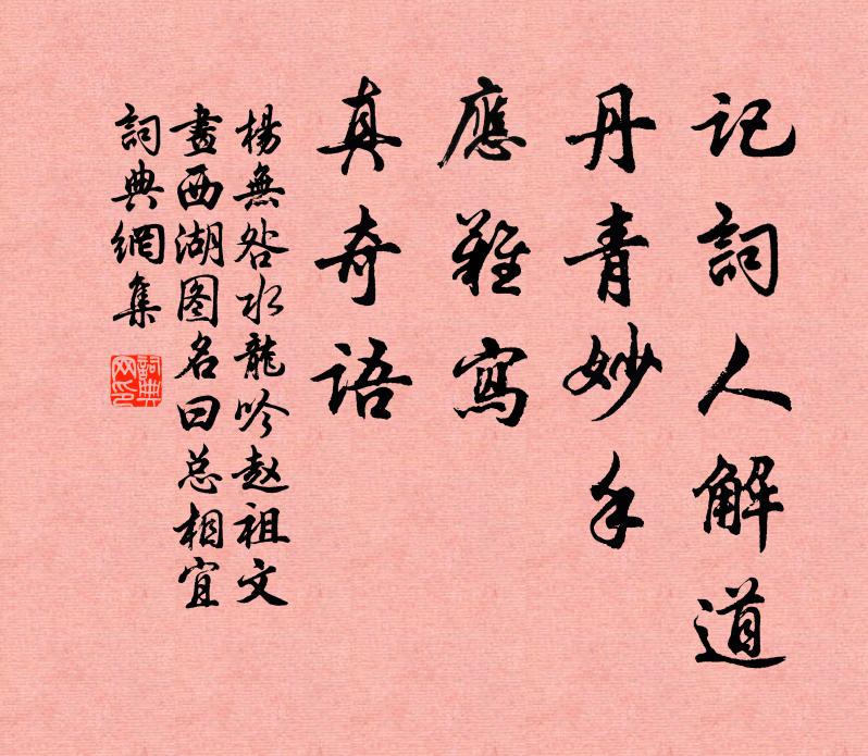 杨无咎记词人解道，丹青妙手，应难写、真奇语书法作品欣赏