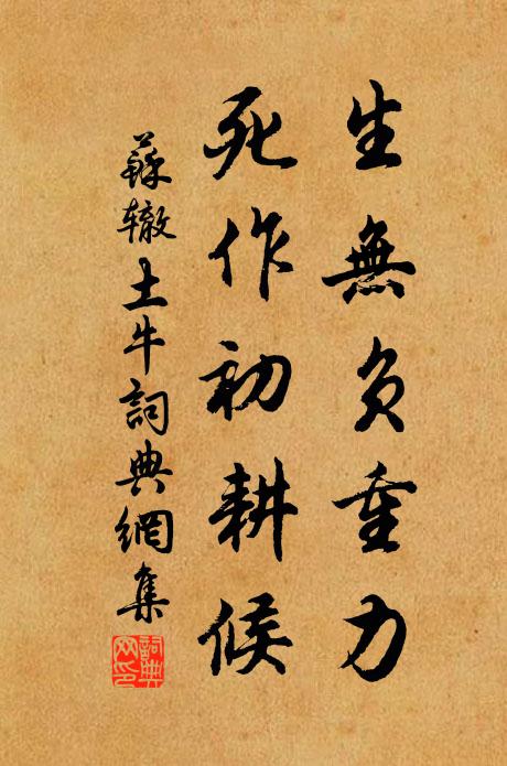 苏辙生无负重力，死作初耕候书法作品欣赏