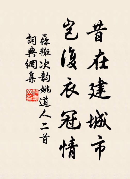 苏辙昔在建城市，岂复衣冠情书法作品欣赏