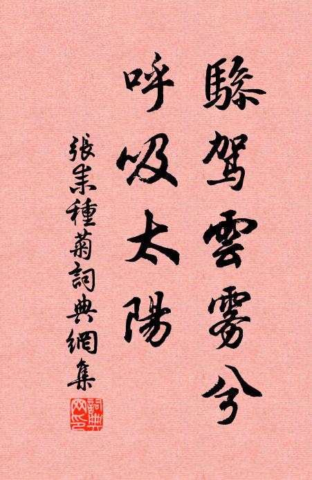 张耒骖驾云雾兮，呼吸太阳书法作品欣赏