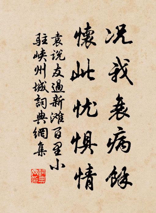 袁说友况我衰病余,怀此忧惧情书法作品欣赏