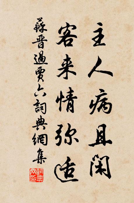 苏晋主人病且闲，客来情弥适书法作品欣赏