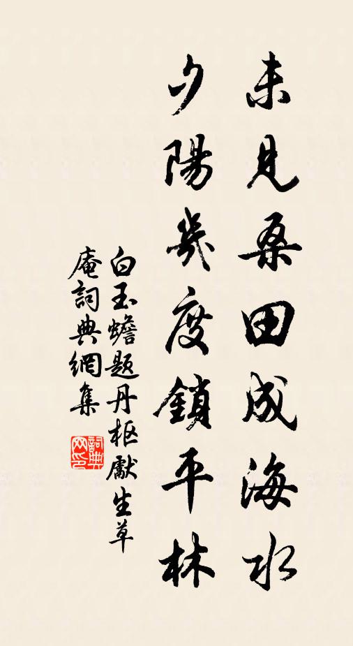 白玉蟾未见桑田成海水，夕阳几度锁平林书法作品欣赏