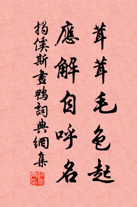 揭傒斯茸茸毛色起，应解自呼名书法作品欣赏