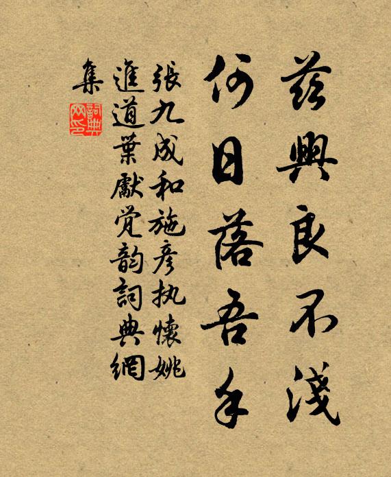 张九成兹兴良不浅,何日落吾手书法作品欣赏