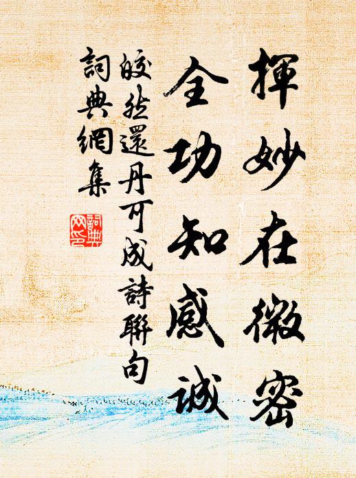 皎然挥妙在微密，全功知感诚书法作品欣赏
