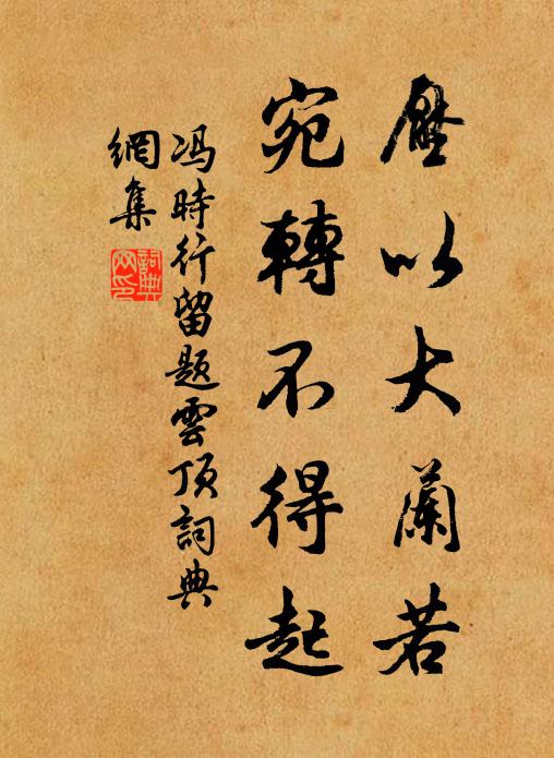 冯时行压以大兰若，宛转不得起书法作品欣赏