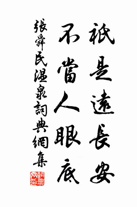 张舜民祇是远长安，不当人眼底书法作品欣赏