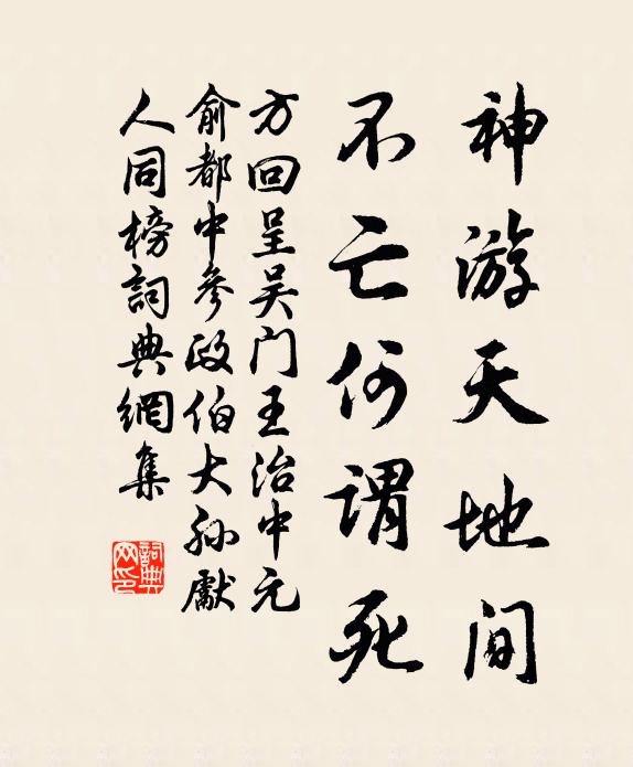 方回神游天地间，不亡何谓死书法作品欣赏