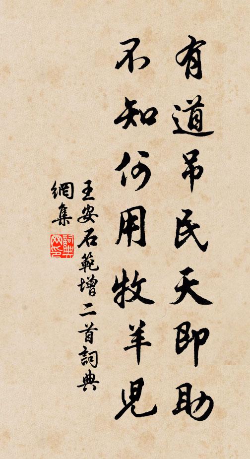 王安石有道吊民天即助，不知何用牧羊儿书法作品欣赏