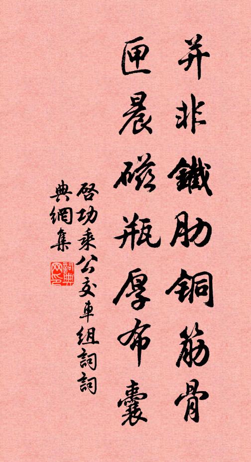启功并非铁肋铜筋骨，匣晨磁瓶厚布囊书法作品欣赏