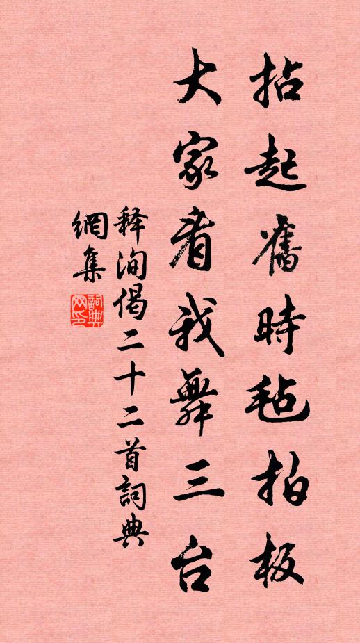 释洵拈起旧时毡拍板，大家看我舞三台书法作品欣赏