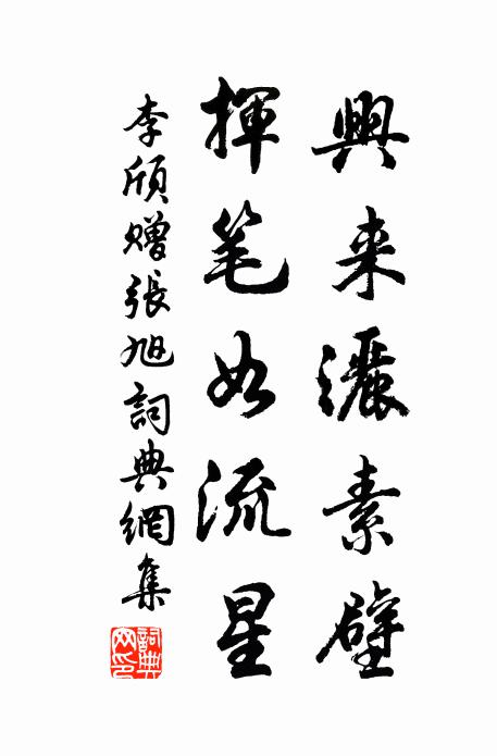 李颀兴来洒素壁，挥笔如流星书法作品欣赏