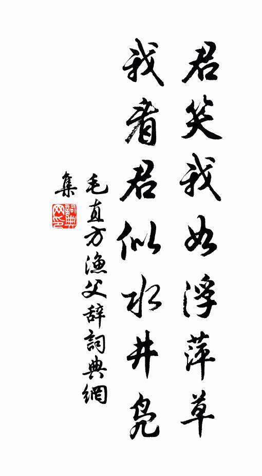 毛直方君笑我如浮萍草，我看君似水井凫书法作品欣赏