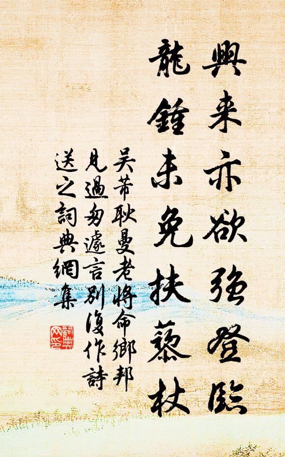 吴芾兴来亦欲强登临，龙钟未免扶藜杖书法作品欣赏
